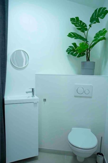 Appartement 5Min Aeroport Cdg Le Mesnil-Amelot Bagian luar foto